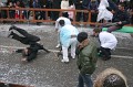 Carnevale 2011 (78)